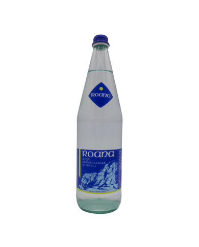 Acqua oligominerale minerale Nerea frizzante lt.0,5 